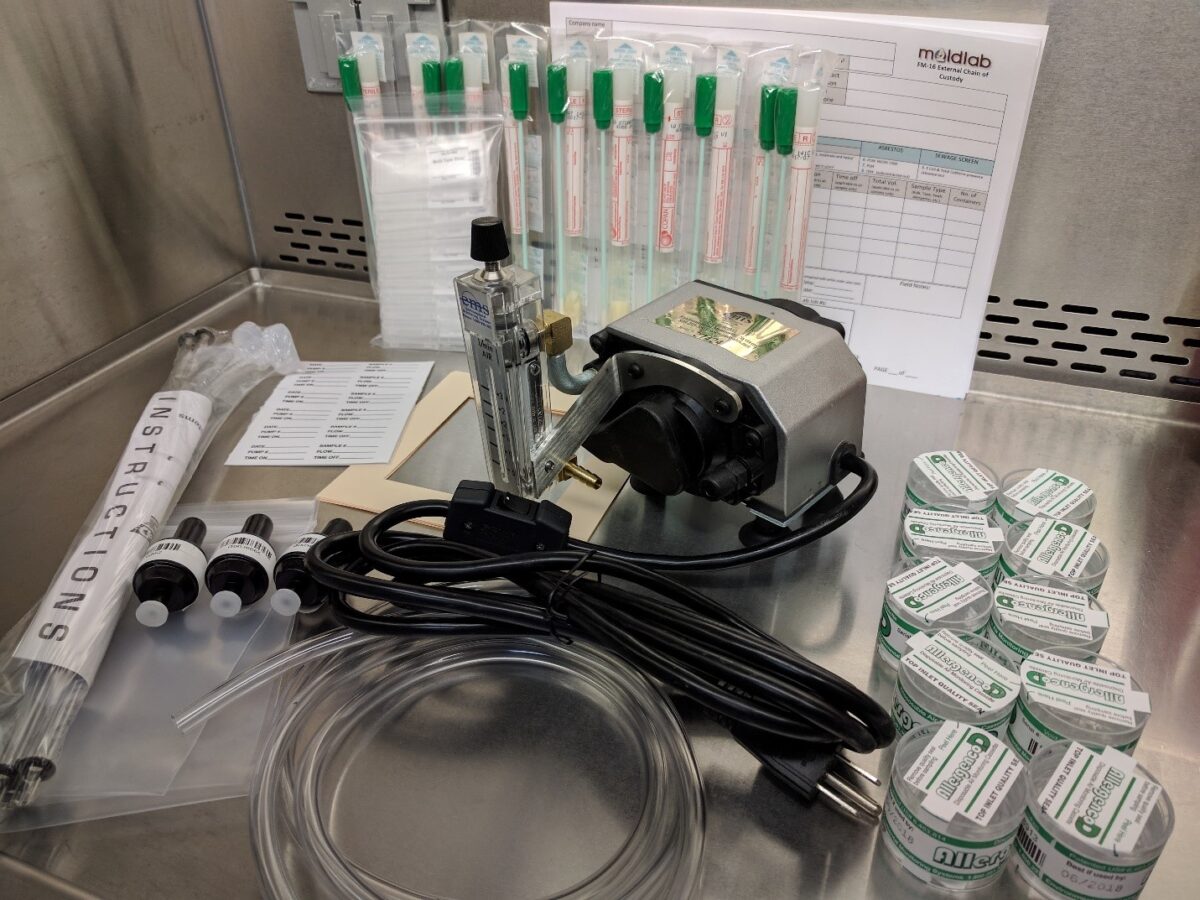 Professional Mold Starter Kit Mold Lab